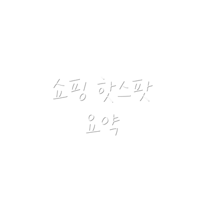 쇼핑 핫스팟 요약