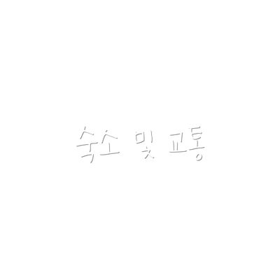 숙소 및 교통