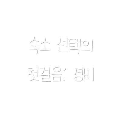 숙소 선택의 첫걸음: 경비
