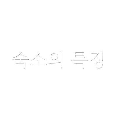 숙소의 특징