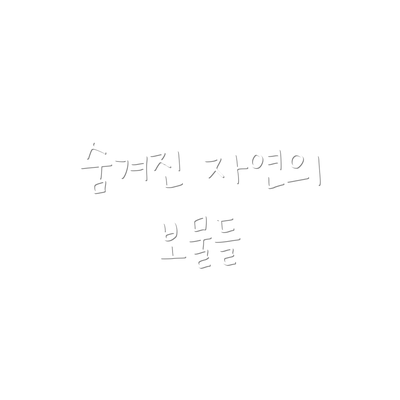 숨겨진 자연의 보물들