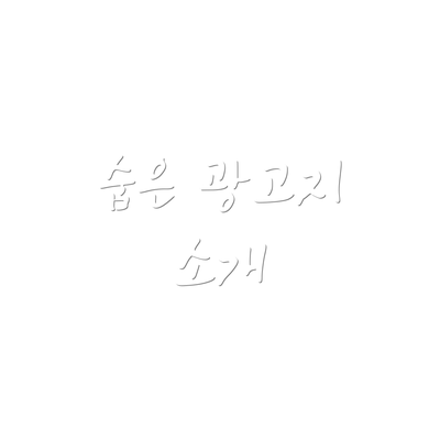숨은 광고지 소개