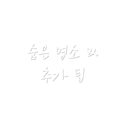 숨은 명소 &  추가 팁