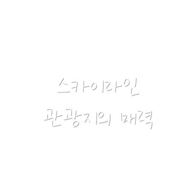 스카이라인 관광지의 매력