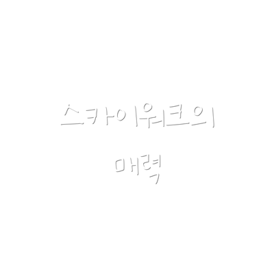 스카이워크의 매력