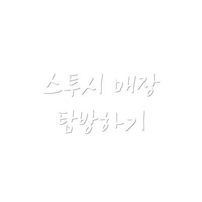 스투시 매장 탐방하기