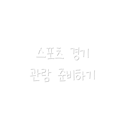 스포츠 경기 관람 준비하기