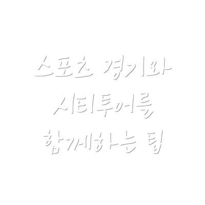 스포츠 경기와 시티투어를 함께하는 팁