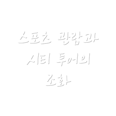 스포츠 관람과 시티 투어의 조화