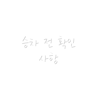 승차 전 확인 사항