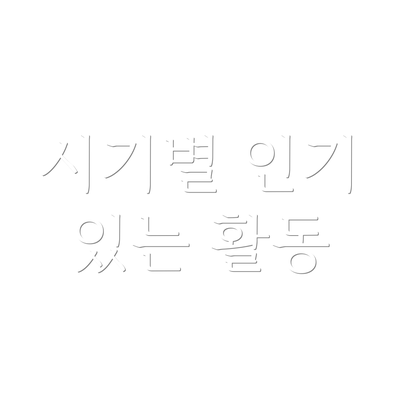 시기별 인기 있는 활동