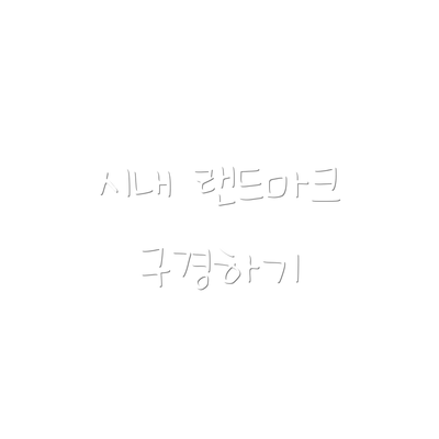 시내 랜드마크 구경하기