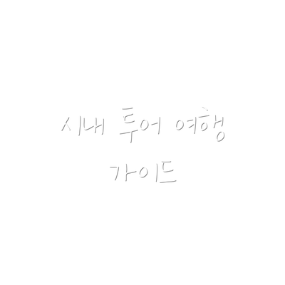 시내 투어 여행 가이드