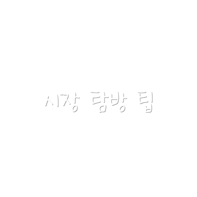 시장 탐방 팁