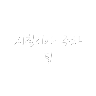 시칠리아 주차 팁