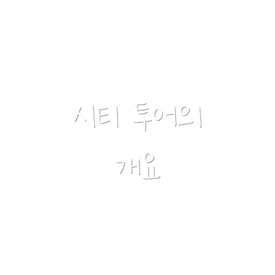 시티 투어의 개요