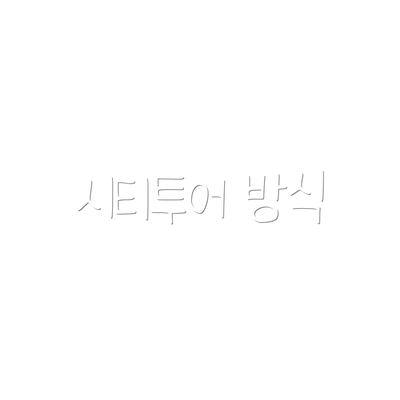 시티투어 방식