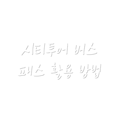 시티투어 버스 패스 활용 방법