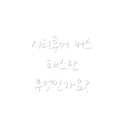 시티투어 버스 패스란 무엇인가요?
