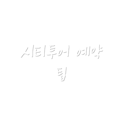 시티투어 예약 팁