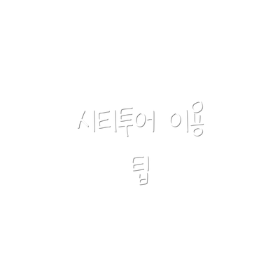 시티투어 이용 팁