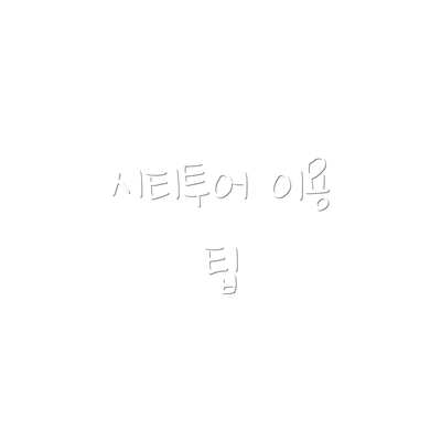 시티투어 이용 팁