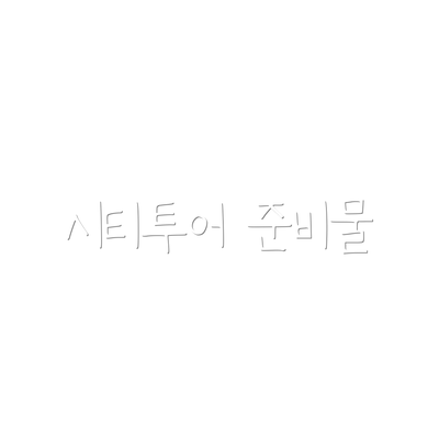 시티투어 준비물