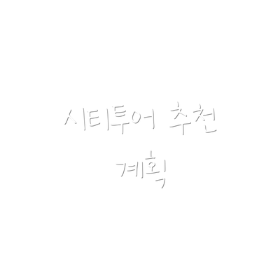 시티투어 추천 계획