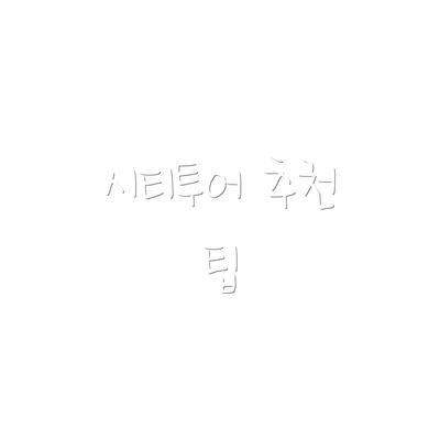 시티투어 추천 팁