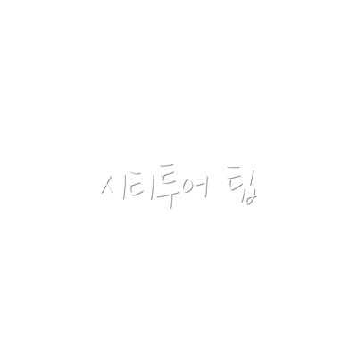 시티투어 팁