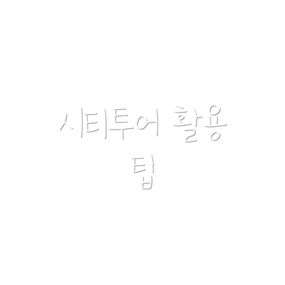 시티투어 활용 팁
