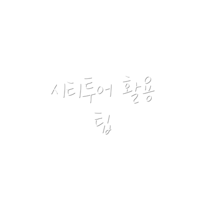 시티투어 활용 팁