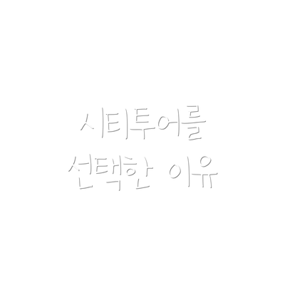 시티투어를 선택한 이유