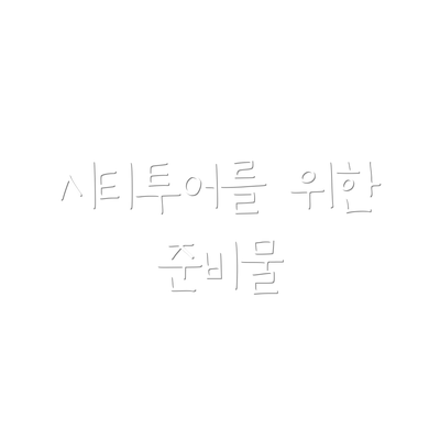 시티투어를 위한 준비물