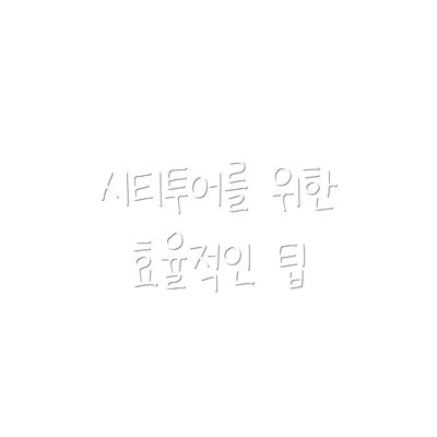 시티투어를 위한 효율적인 팁