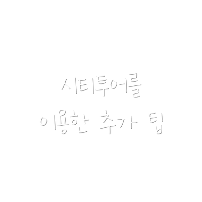 시티투어를 이용한 추가 팁