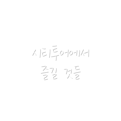 시티투어에서 즐길 것들