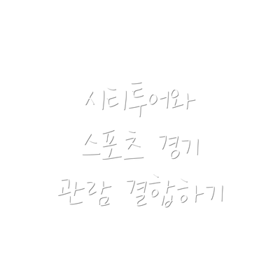 시티투어와 스포츠 경기 관람 결합하기