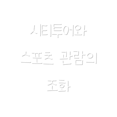 시티투어와 스포츠 관람의 조화
