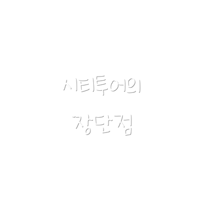 시티투어의 장단점