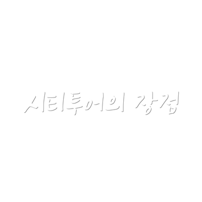 시티투어의 장점