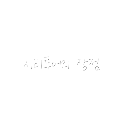 시티투어의 장점