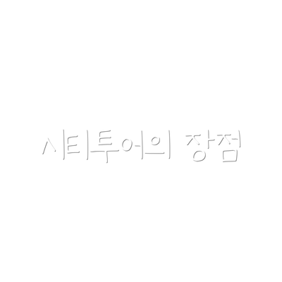 시티투어의 장점