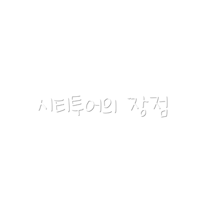 시티투어의 장점