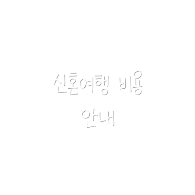 신혼여행 비용 안내
