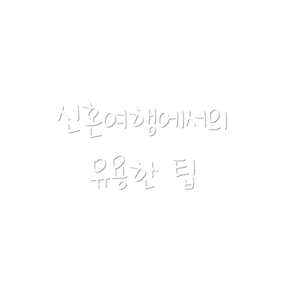신혼여행에서의 유용한 팁