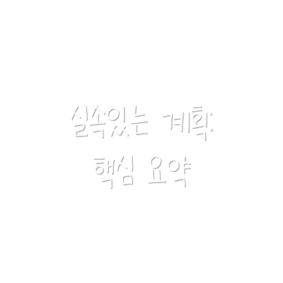 실속있는 계획: 핵심 요약