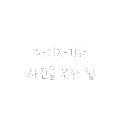 아기자기한 사진을 위한 팁