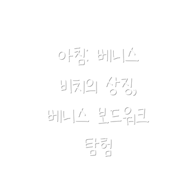 아침: 베니스 비치의 상징, 베니스 보드워크 탐험