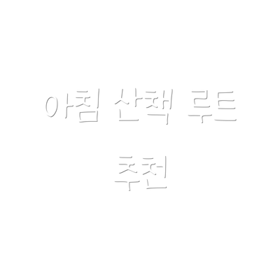 아침 산책 루트 추천